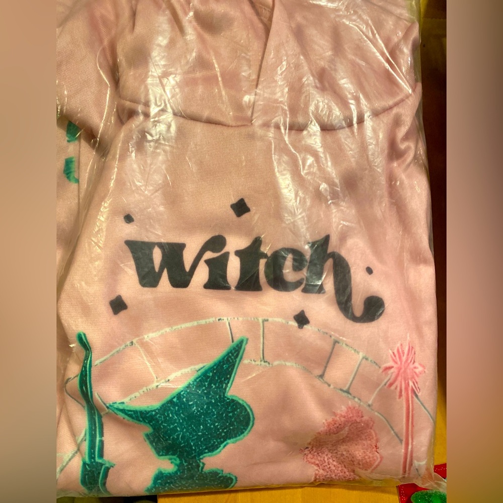 Wicked Hooded Sweatshirt              NWT